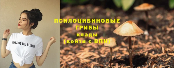 мет Корсаков