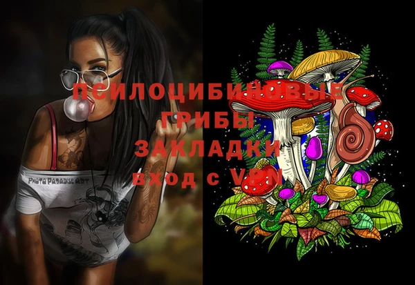 амф Щучье