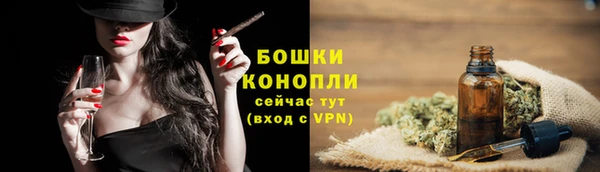 индика Михайловск