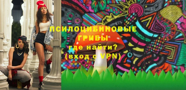 мет Корсаков