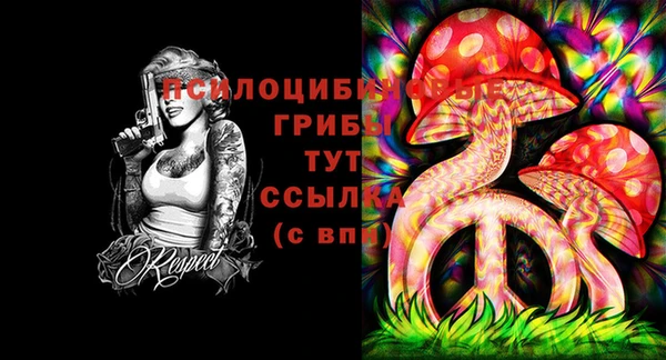 ПСИЛОЦИБИНОВЫЕ ГРИБЫ Коряжма