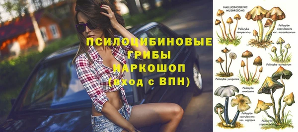ПСИЛОЦИБИНОВЫЕ ГРИБЫ Коряжма