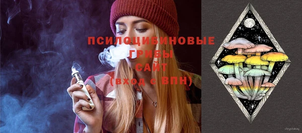 мдпв Михайловка