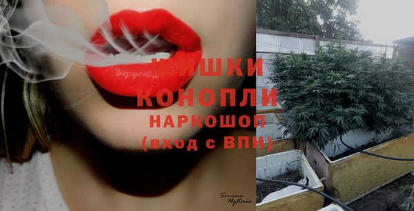 мет Корсаков