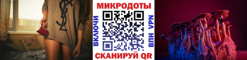 Галлюциногенные грибы MAGIC MUSHROOMS  продажа наркотиков  Новый Уренгой 