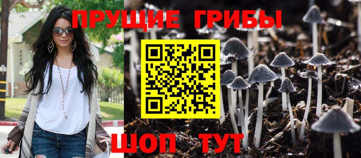 Новый Уренгой  Галлюциногенные грибы мухоморы  Вход с VPN 