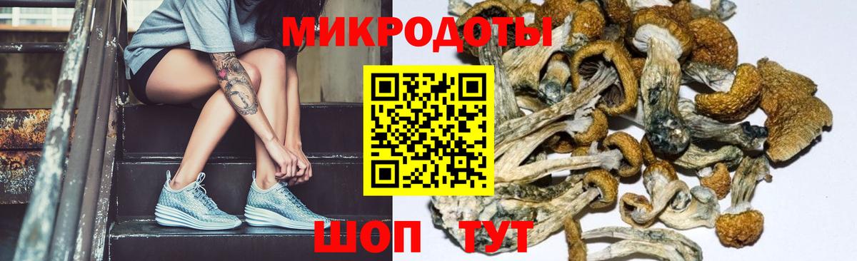 Галлюциногенные грибы прущие грибы Новый Уренгой